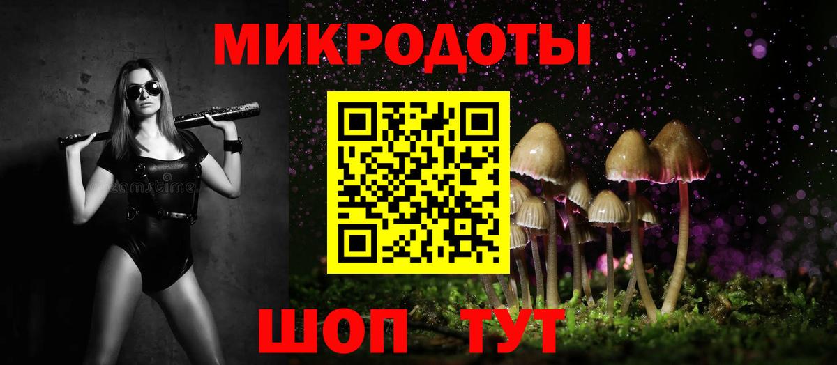 Псилоцибиновые грибы Psilocybe Ликино-Дулёво